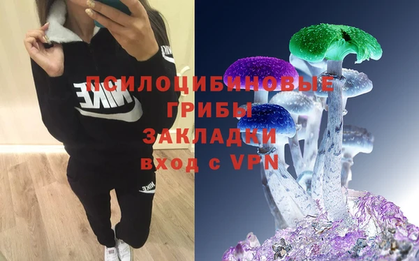 марки lsd Нязепетровск