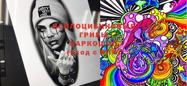 герыч Новодвинск