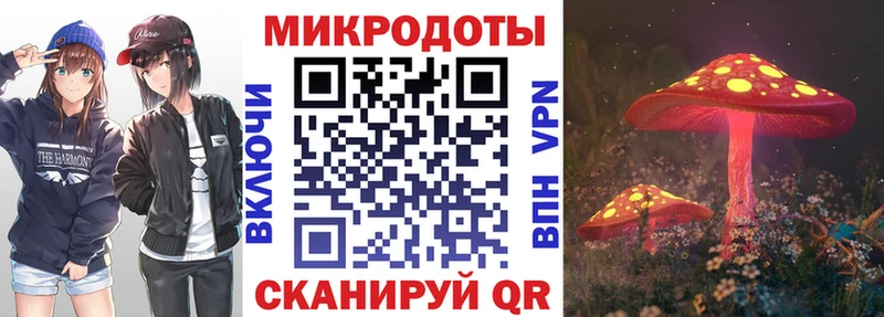 Псилоцибиновые грибы Psilocybine cubensis  Нижнеудинск 