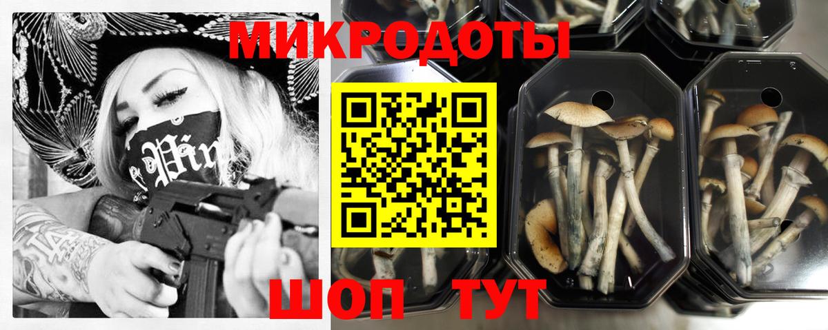 Псилоцибиновые грибы Нижнеудинск