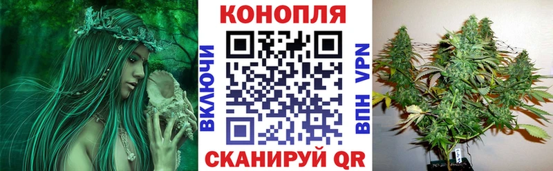 продажа наркотиков  Нижнеудинск  Марихуана AK-47 